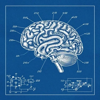 Plano técnico en azul de un cerebro humano, con líneas de cota y esquemas de circuitos al pie